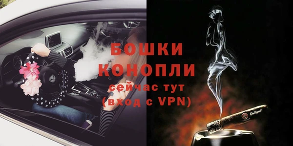 ECSTASY Костерёво