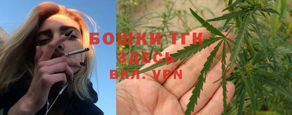 ECSTASY Костерёво
