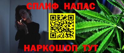МДМА Гатчина
