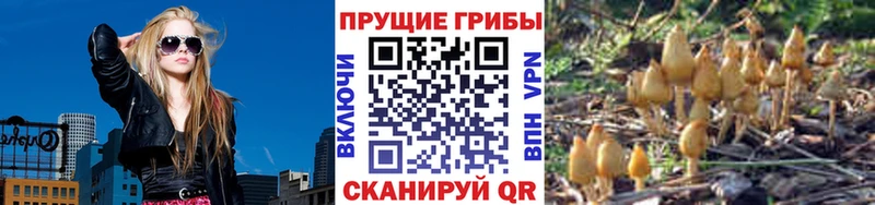 Галлюциногенные грибы мухоморы  Кызыл 