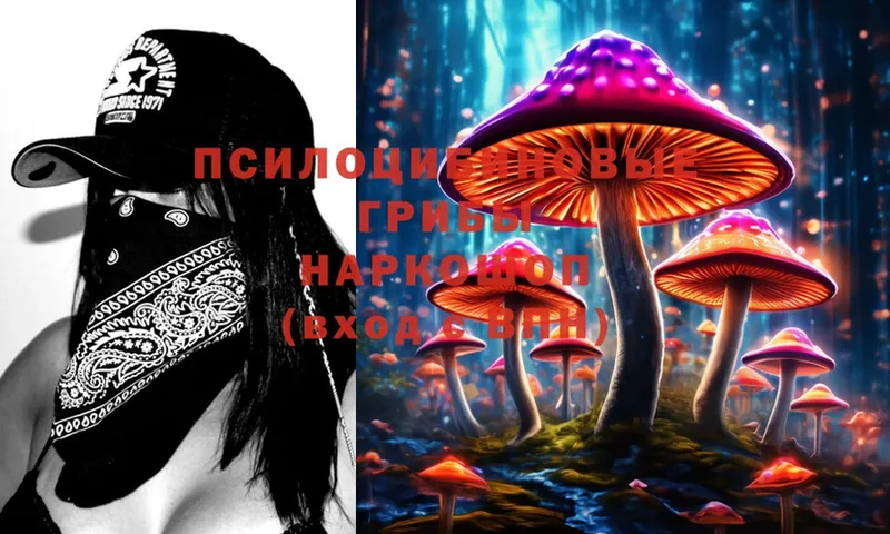 наркотики  omg ONION  Галлюциногенные грибы Psilocybe  Кызыл 