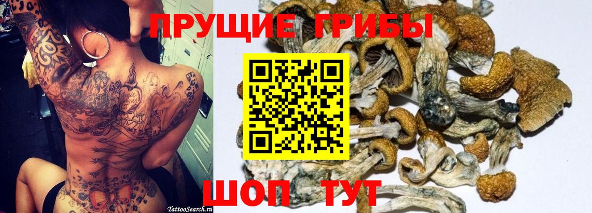 Кызыл  Галлюциногенные грибы мухоморы  Псилоцибиновые грибы Psilocybine cubensis  Вход с VPN 
