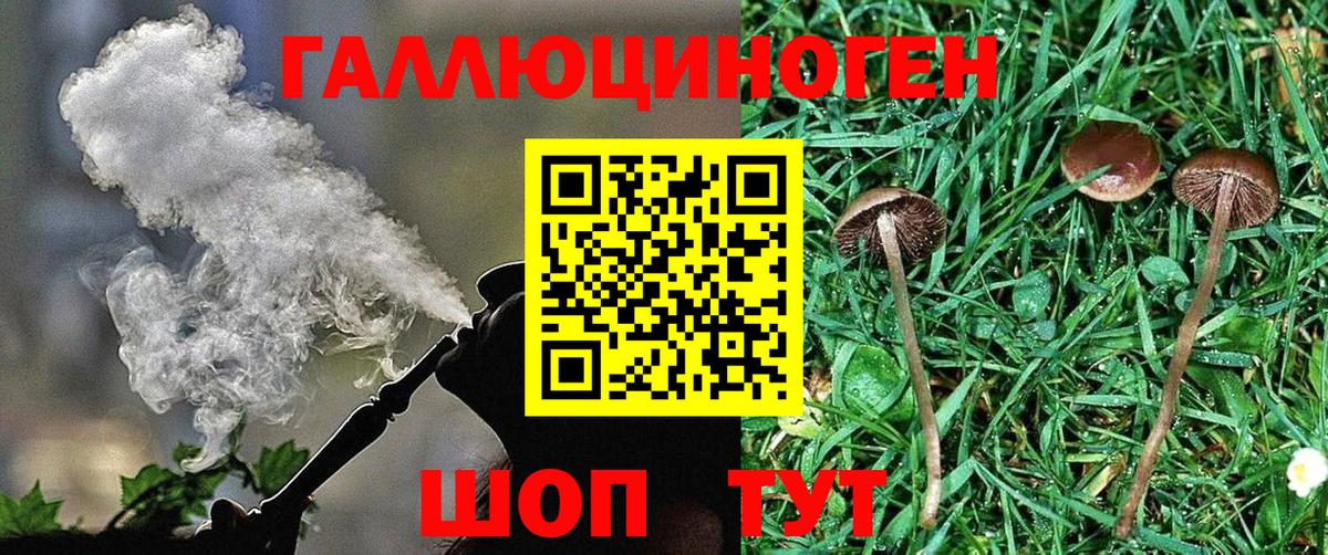 цены   Кызыл  Псилоцибиновые грибы мухоморы 